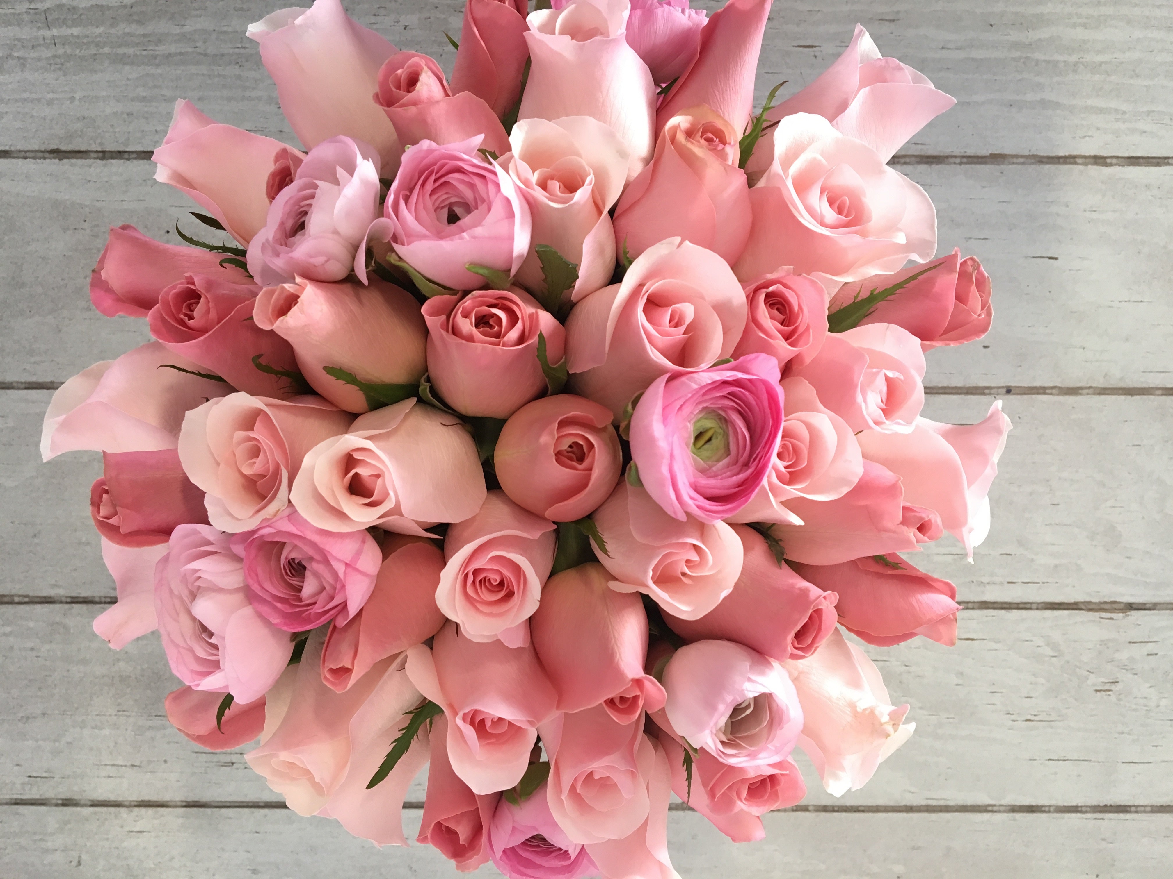 PÉTALOS DE ROSA (48 rosas) – La Fleur Boutique